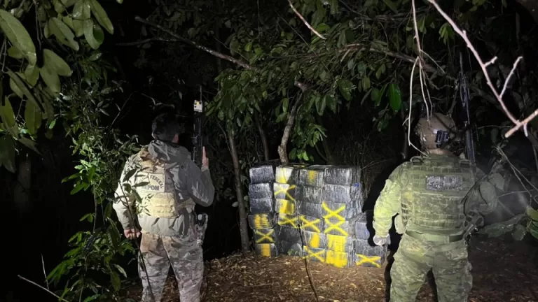 Droga avaliada em R$ 1,25 milhão é encontrada escondida em meio à mata em Altônia