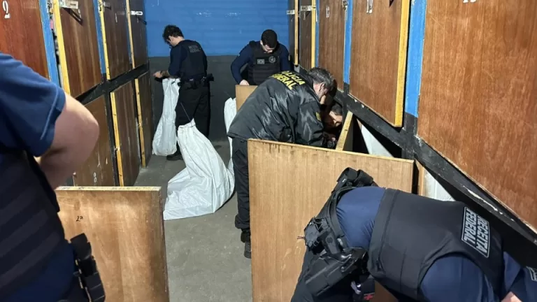 Mais de R$ 500 mil em produtos irregulares são apreendidos em Foz do Iguaçu