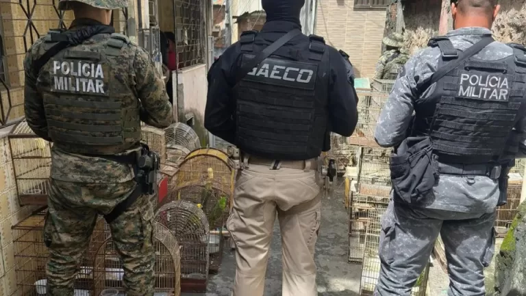 Operação prende na Bahia um dos maiores traficantes de animais do país