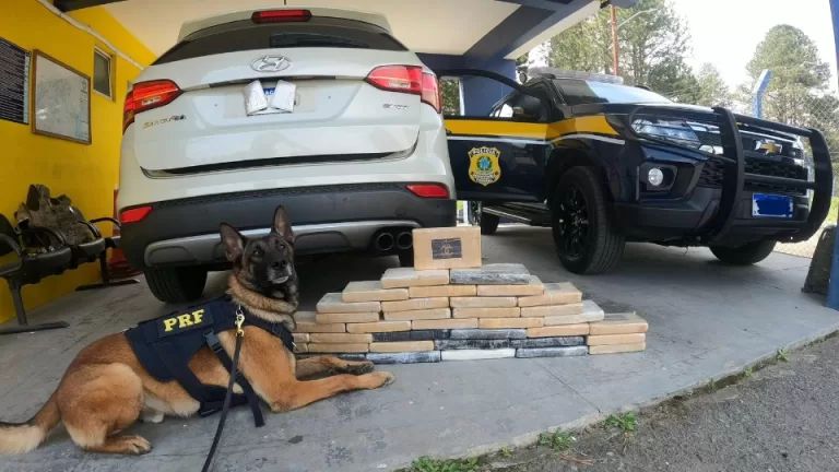 PRF apreende quase 55 quilos de cocaína em veículo na BR-277