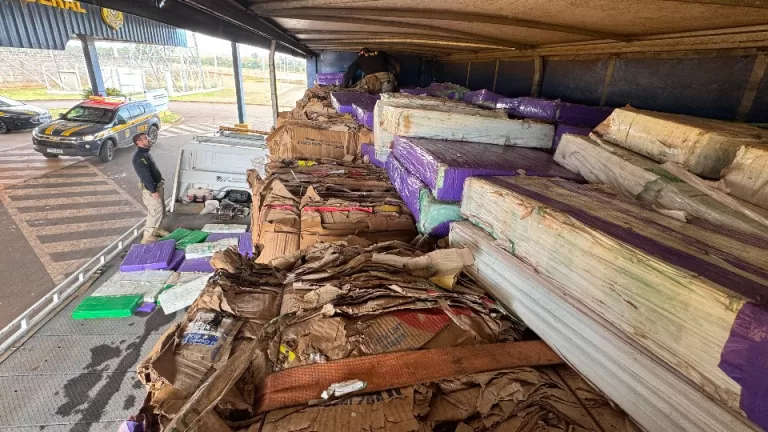 Quase 3 toneladas de maconha são apreendidas em carga de papelão em Francisco Alves