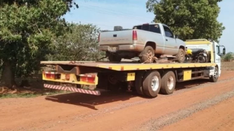 Mais de 2 toneladas de maconha são apreendidas em propriedade de Palotina