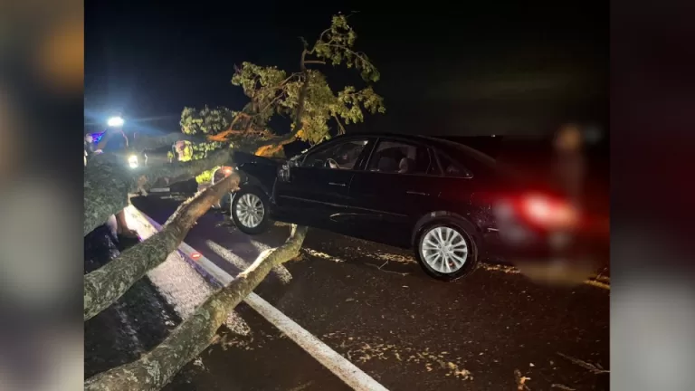 Carro atinge árvore caída durante temporal na PR-591 em Toledo
