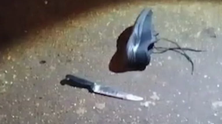 Homem morre após briga com arma branca em Toledo