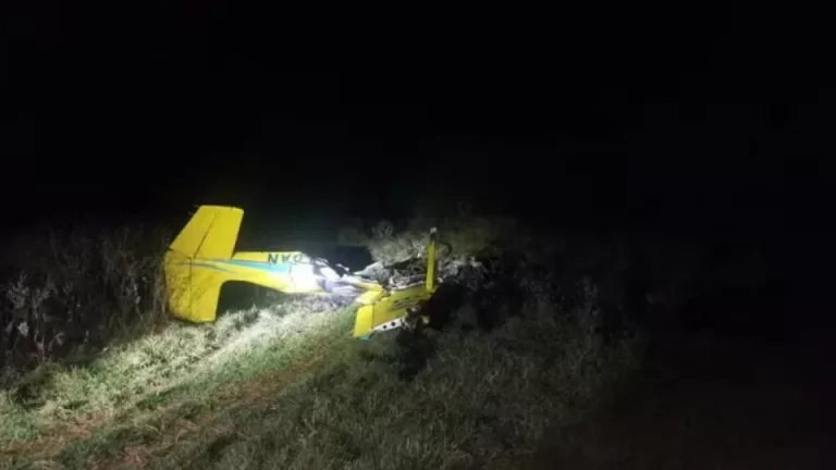 Quatro pessoas morrem após avião cair no Pantanal em Mato Grosso do Sul