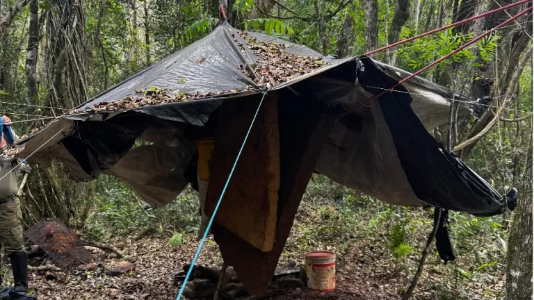 Operação combate crimes ambientais no Parque Nacional do Iguaçu