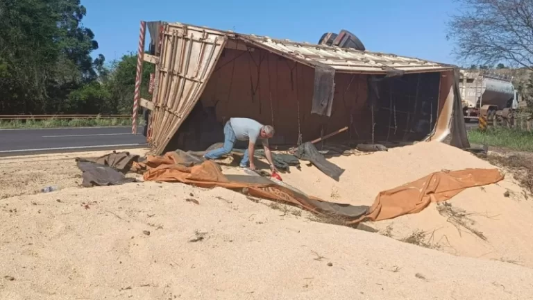 Reboque de carreta tomba na BR-163 e espalha carga de farelo