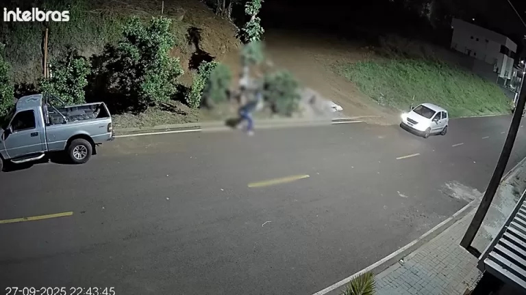 Câmera registra agressão a dois cães em Francisco Beltrão