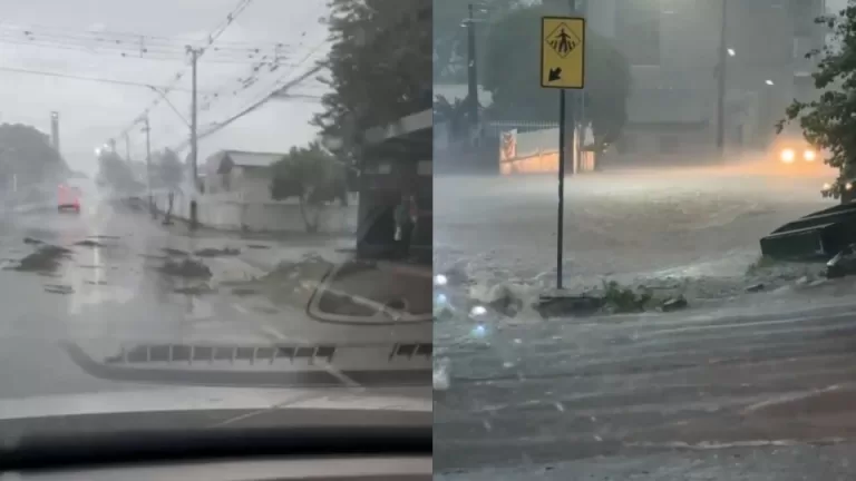 Temporal deixa danos em cidades do Oeste e Sudoeste do Paraná
