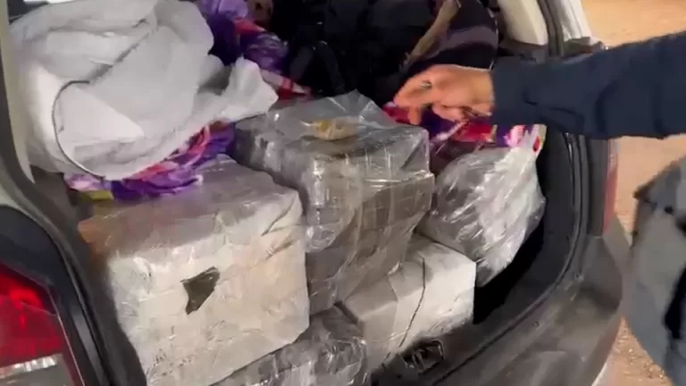 PRF apreende 193 quilos de maconha na BR-277, em Cascavel