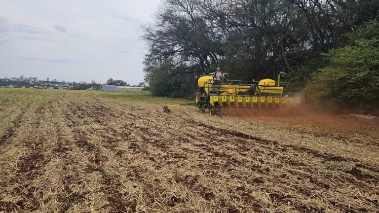 Início da semeadura de soja 2025/26 marca novo ciclo na agricultura na região