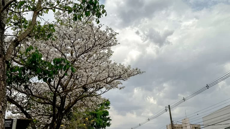 Segunda-feira inicia com tempo estável, mas há previsão de chuva para os próximos dias em Marechal Rondon