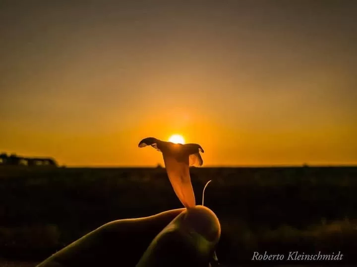 O segredo para ser feliz