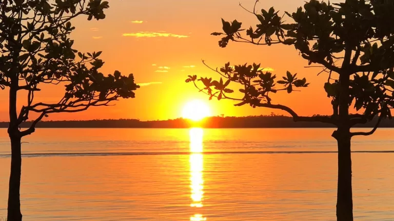 Paraná enfrenta calor intenso; veja qual município registrou a maior temperatura de sábado no Estado
