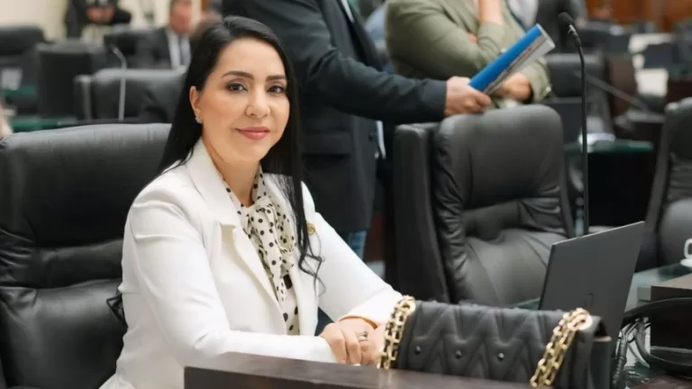 Projeto de lei visa garantir assistência multiprofissional a mulheres dependentes do álcool