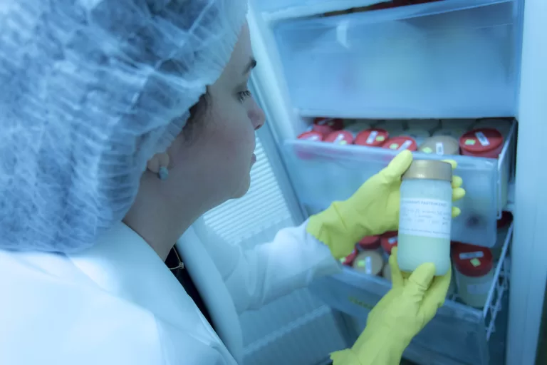 Paraná registra aumento na coleta de leite humano e no número de crianças atendidas