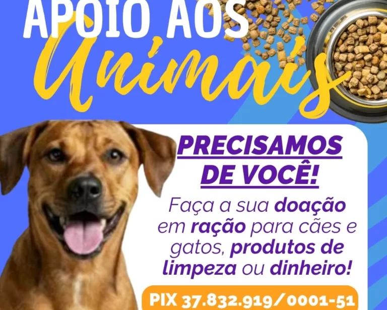 Rotary Club Gralha Azul promove campanha de arrecadação em prol da Grapa