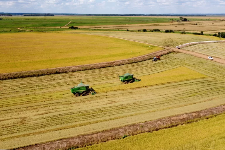 Boletim do Deral prevê recorde de 46,3 milhões de toneladas na safra de grãos 24/25