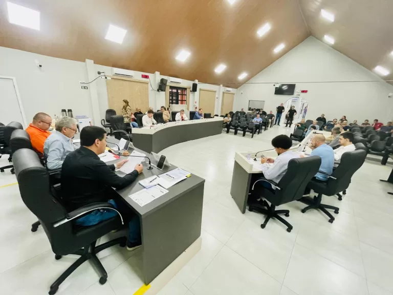 Projeto de lei propõe criação do Dia Municipal do Taekwondo em Marechal Rondon