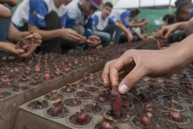 Prefeitura de Toledo é finalista do Prêmio Gestor Público Paraná