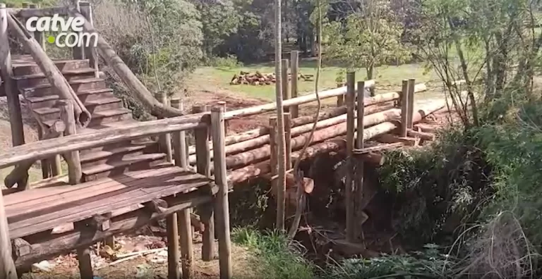 Grupo é preso furtando madeira de obra em parque de Toledo