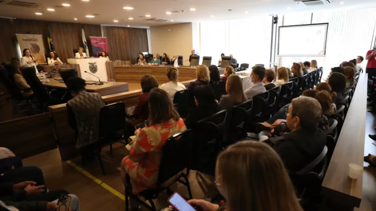 Audiência reforça necessidade de capacitação de profissionais na identificação da violência contra crianças e adolescentes