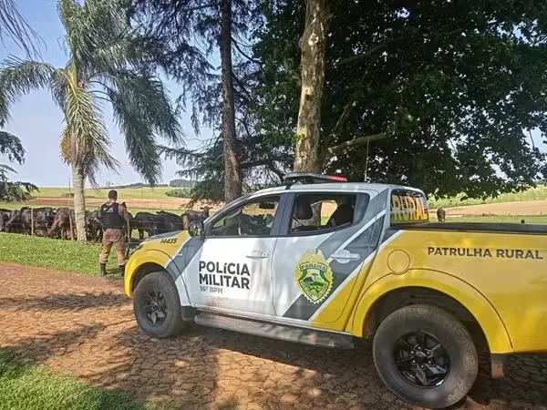 Furtos e roubos em área rural de Cascavel dobram em comparação com o ano passado