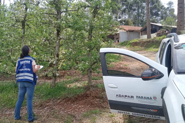Adapar anuncia concurso com 57 vagas; salários chegam a R$ 8,4 mil