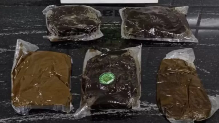 Adolescente é apreendida com mais de dois quilos de haxixe  dentro de ônibus