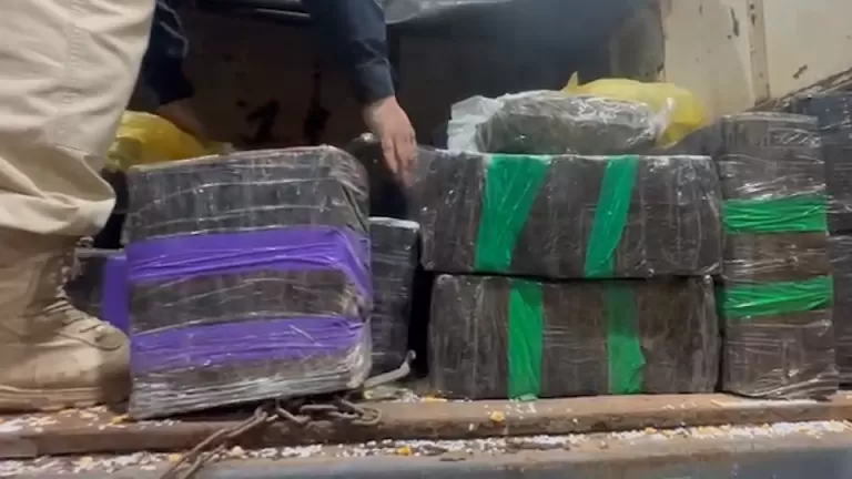 Brasil bate recorde de apreensões de maconha, maior parte contrabandeada do Paraguai