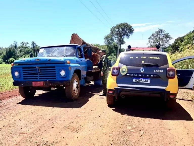 Polícia Ambiental apreende 92 m³ de madeira nativa e exótica em Mercedes