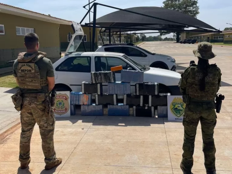 225 quilos de maconha são apreendidos em Terra Roxa