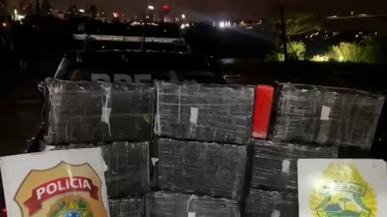 Recorde de apreensão de maconha é registrado no Brasil