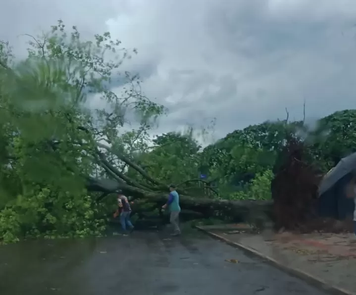 Chuvas e ventos provocam estragos em Marechal Rondon
