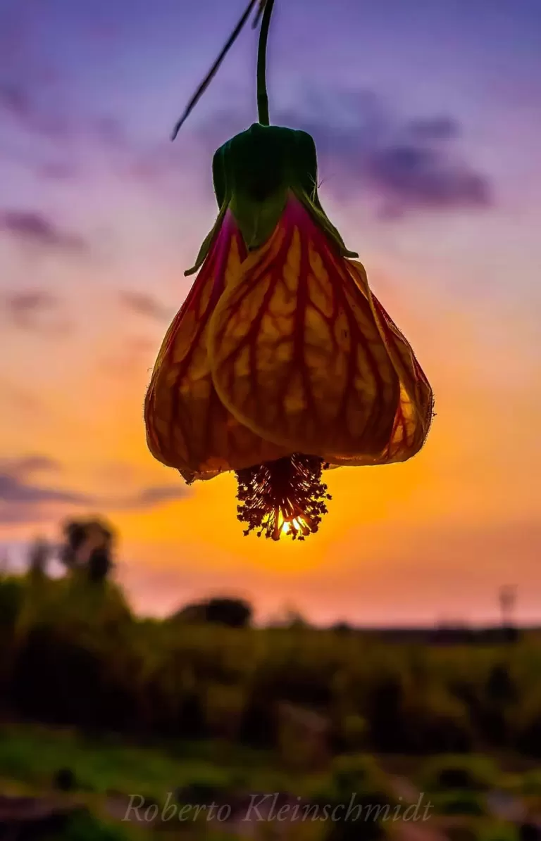 Escolhas, caminhos e lições