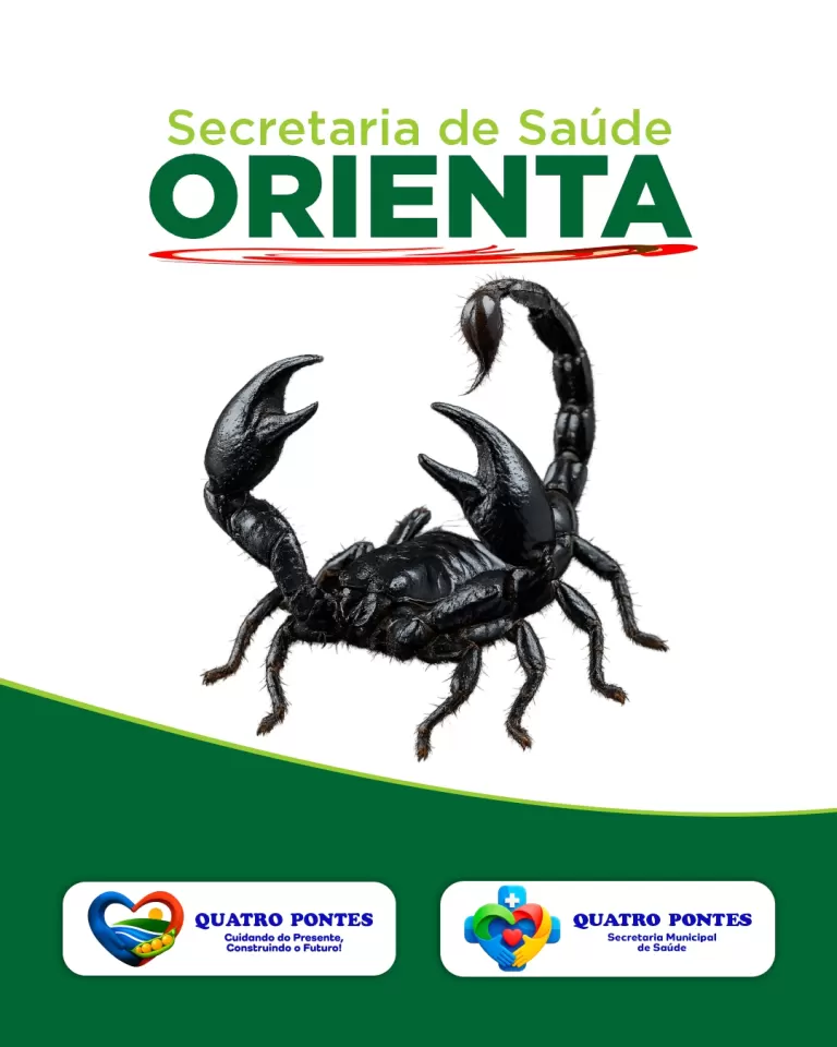 Saúde alerta sobre presença de escorpiões em Quatro Pontes