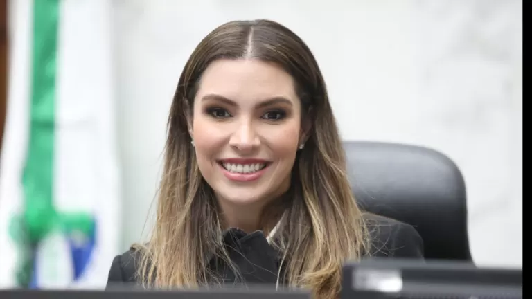 Deputada Maria Victoria propõe incentivos ao uso do metano para geração de energia limpa no Paraná