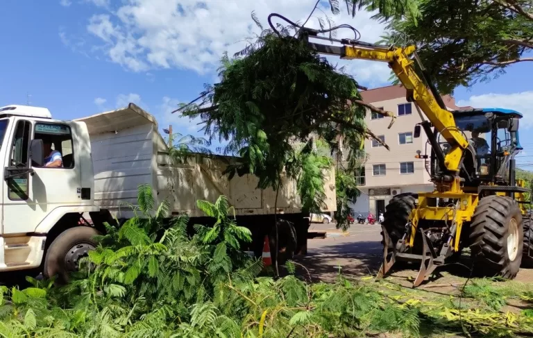 Recolha de galhos e entulhos será realizada no distrito de Porto Mendes a partir de segunda-feira