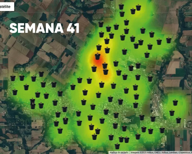 Balanço aponta elevação no índice de ovitrampas positivas para o Aedes aegypti em Marechal Rondon