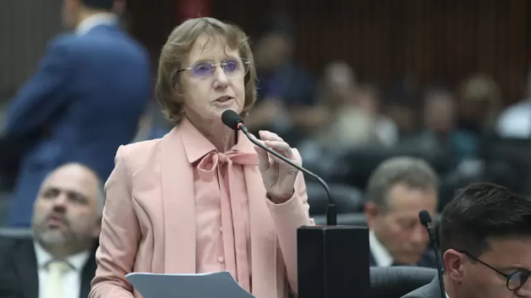 Deputada Luciana Rafagnin solicita ao DNIT redutores de velocidade e duplicação da BR-163 no Sudoeste