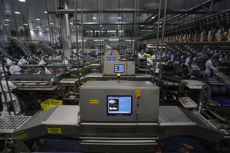 Paraná chega ao fim do ano com recorde de 26,7 mil vagas nas Agências do Trabalhador