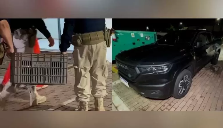 RAM do pó: mulher é detida em caminhonete com mais de R$ 2 milhões em cocaína