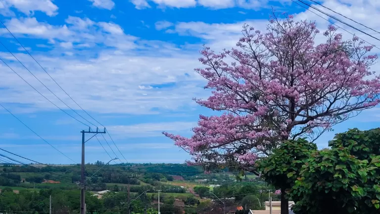 Terça-feira começa com predomínio de sol e máxima chega a 28°C em Marechal Rondon