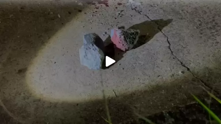 Polícia revela novas informações sobre morte de homem que tentou defender adolescente