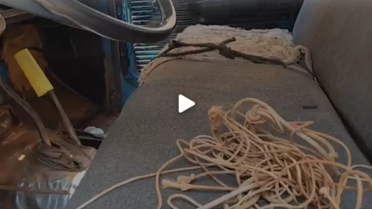 Motorista usa corda como cinto de segurança em Toledo