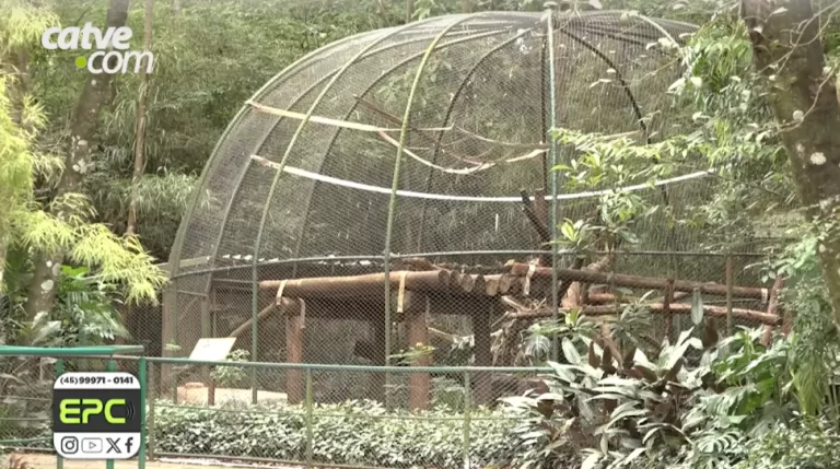 Zoológico de Cascavel obtém, pela primeira vez, Licença Ambiental de Operação