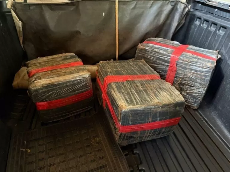 Operação conjunta de forças policiais apreende 67,5 kg de maconha em Santa Helena