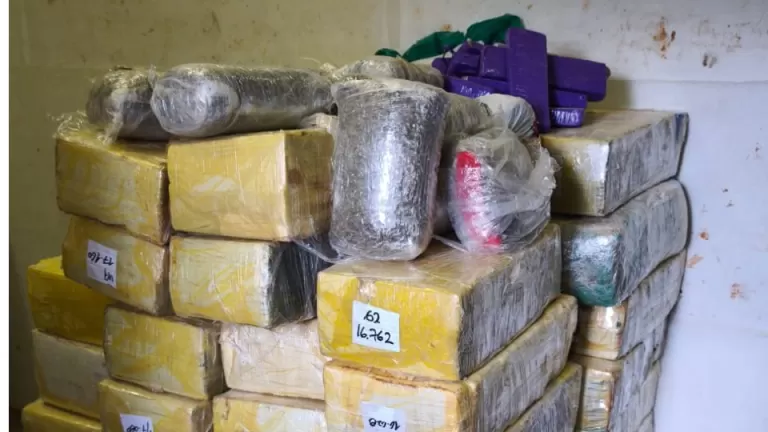 Mais de 1,5 tonelada de maconha é apreendida em carreta carregada com milho em Cascavel