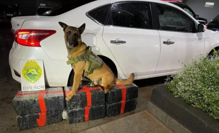 Após fuga de Marechal a Toledo, carro com droga bate contra meio-fio e rapaz é preso