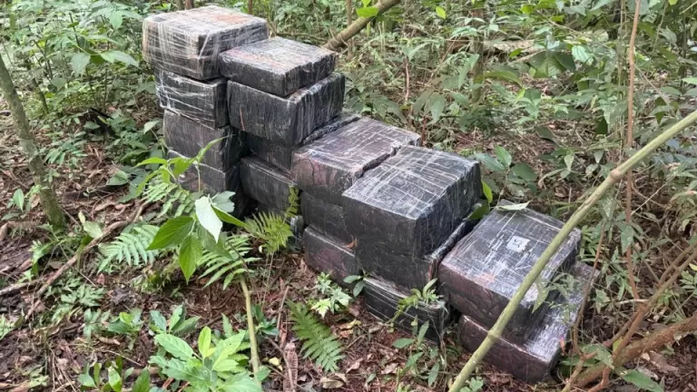 Homem é preso e quase uma tonelada de maconha é apreendida em Itaipulândia